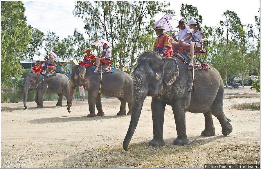 Конечно же, чем гордятся тайцы, и что является визитной карточкой их страны, эдаким козырем для привлечения туристов — это слоны. Их здесь много, и работают они на процветание индустрии туризма денно и нощно. Вот это управляемое стадо мы встретили, гуляя вдоль берега, когда искали плавучий рынок.
* Паттайя, Таиланд