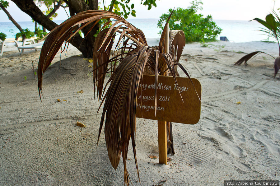 А у этой пары, скорее, нелады — даже их пальма на Мальдивах загнулась :)) Мальдивские острова