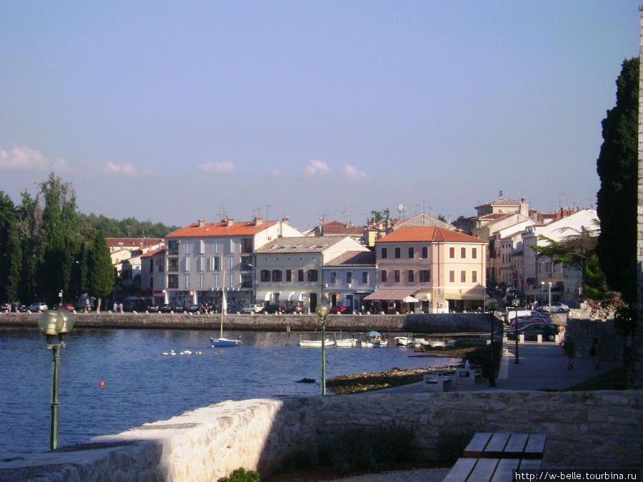 Истрия: сосны и лазурное море Пореч, Хорватия