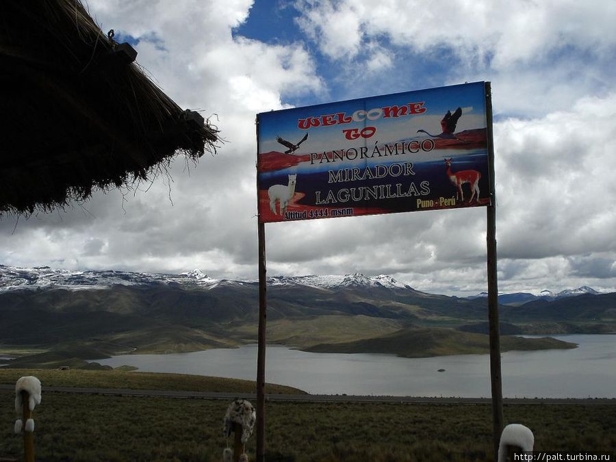 Смотровая площадка Лагунильяс (высота уже 4444 м ) Регион Пуно, Перу