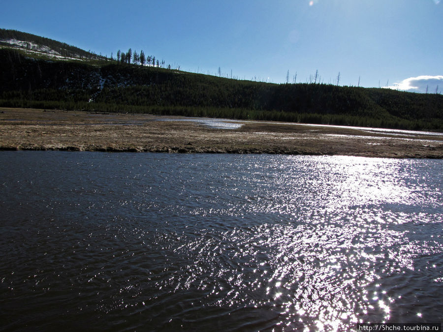 Река Мэдисон (Madison River) - 23 километра пути Йеллоустоун Национальный Парк, CША