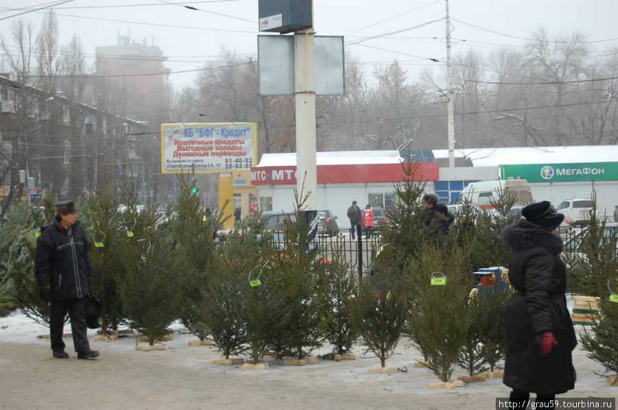 С наступающим Новым годом! Саратов, Россия