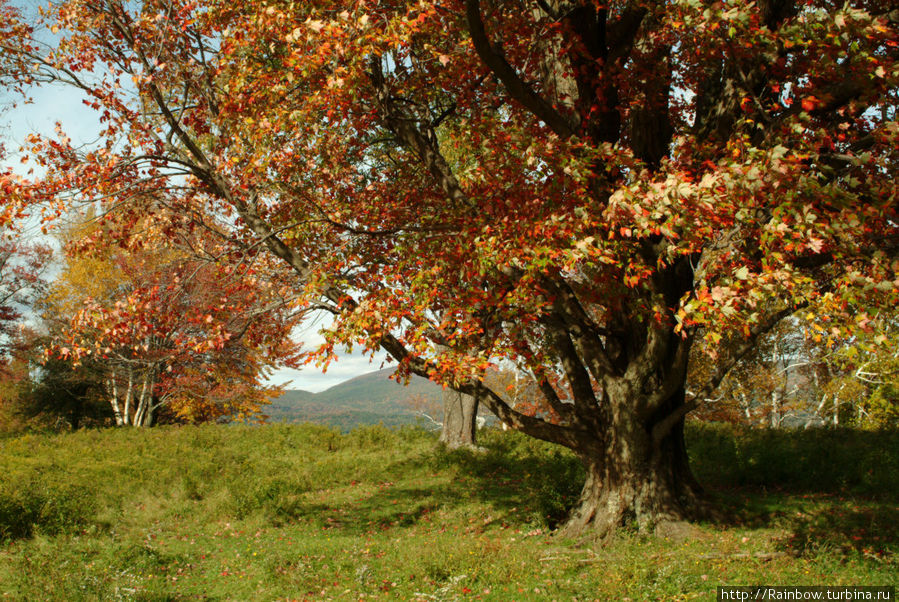 Деревья украшали  ландшафт своей осенней листвой Норт-Адамс, CША