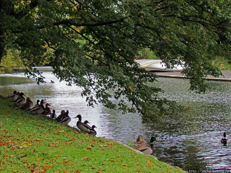Один из живописных каналов парка Мальмё, Швеция