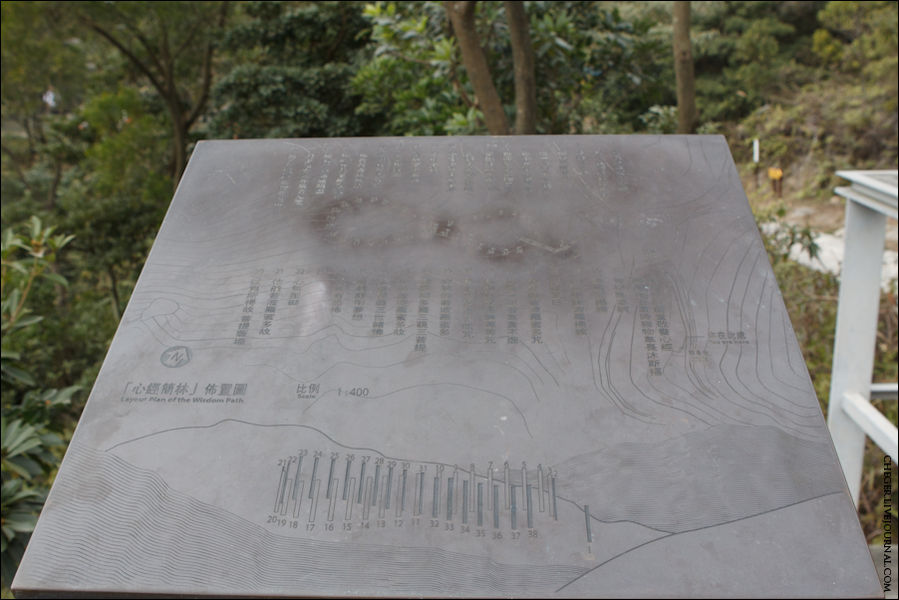 А представляет собой этот Путь мудрости 38 распиленных вдоль стволов деревьев, на которых написаны какие-то изречения из так называемой Сутры Сердца — одного из самых известных первоисточников буддизма Махаяны Остров Лантау, Гонконг
