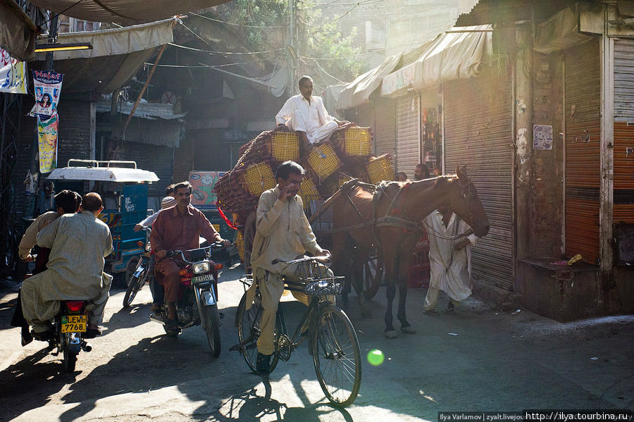 Пакистан. День шестой. Мечеть, зоопарк и бедняки