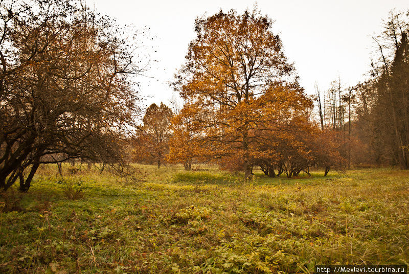 Сигулда осенью Сигулда, Латвия