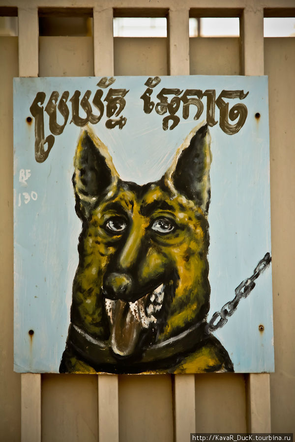 Осторожно — злая собака Ангкор (столица государства кхмеров), Камбоджа