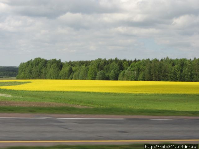 Как я в очередной раз съездила в деревню. Минск и область, Беларусь