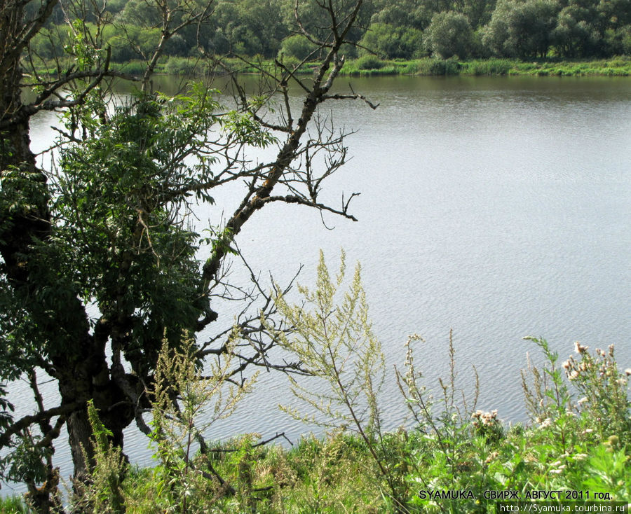 Озеро. Свирж, Украина
