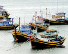 Основной улов вьетнамских рыбаков составляют  пангасиус, креветки и тунец, вполне знакомые нам названия. К примеру, ежегодно вьетнамцами вылавливается до 200 тысяч тонн тунца, а тунцеловный флот насчитывает более 10 тысяч судов