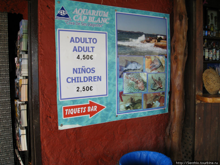 Реклама аквариума, который находится в баре Остров Ибица, Испания