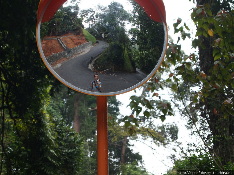 А дорога шла все вверх и вверх, крутым сепантином Пинанг остров, Малайзия