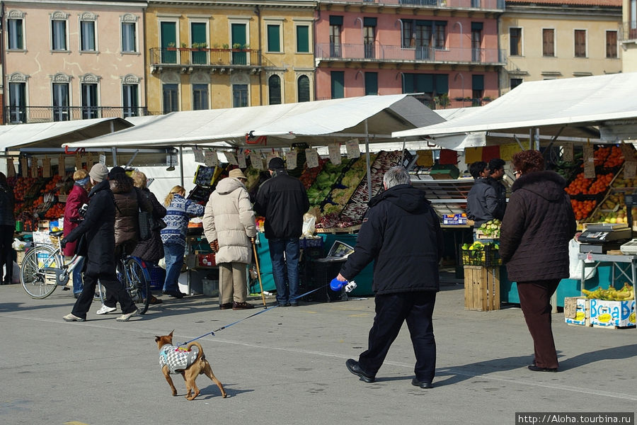 Рынок на Прато делла Валле. Падуя, Италия