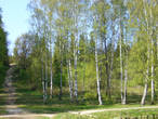 гора Парнас в Шуваловском парке