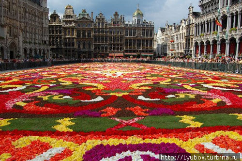Брюссельский цветочный ковер / Brussel Bloementapijt