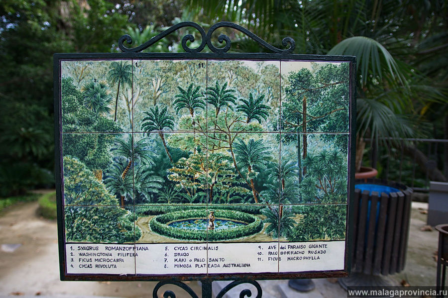 По всему парку расставлены керамические таблички с объяснением, где какое растение или дерево находится Малага, Испания