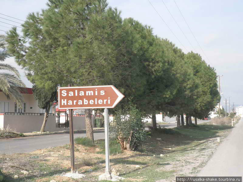 Саламис Фамагуста, Турецкая Республика Северного Кипра