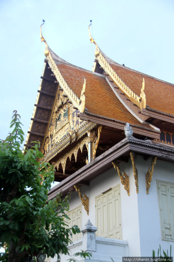Парк в монастыре Ват Бенчамабопхит Бангкок, Таиланд