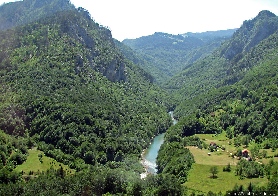 Величественный каньон реки Тара Национальный парк Дурмитор, Черногория