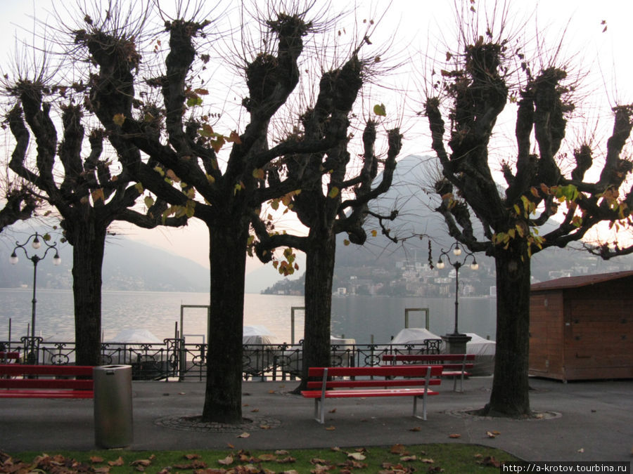 вот как уродуют деревья европейцы, берегущие природу Лугано, Швейцария
