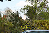 Колокольня с типичной баварской барочной луковкой видна сквозь цветущие деревья