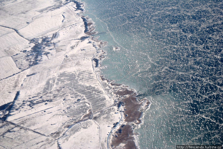 Берег Куршского залива Калининградская область, Россия