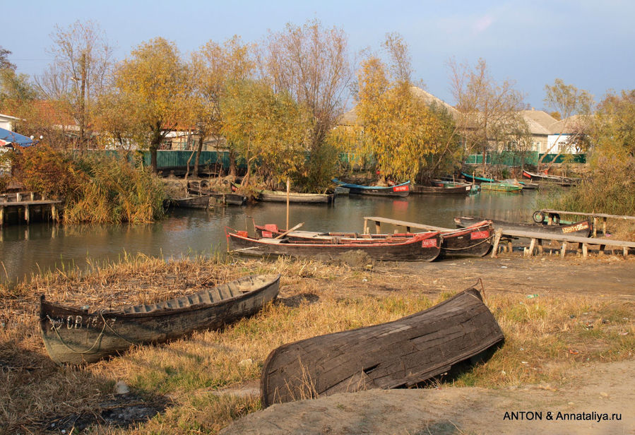 Вилково фото. Вилково Украина. Вилково зимой. Вилково Белгородский канал. Остров Кубанский Вилково.