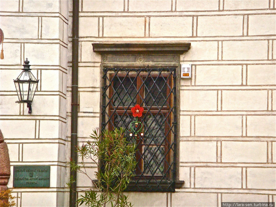 Тршебонь, пятилепестковая роза. Чехия