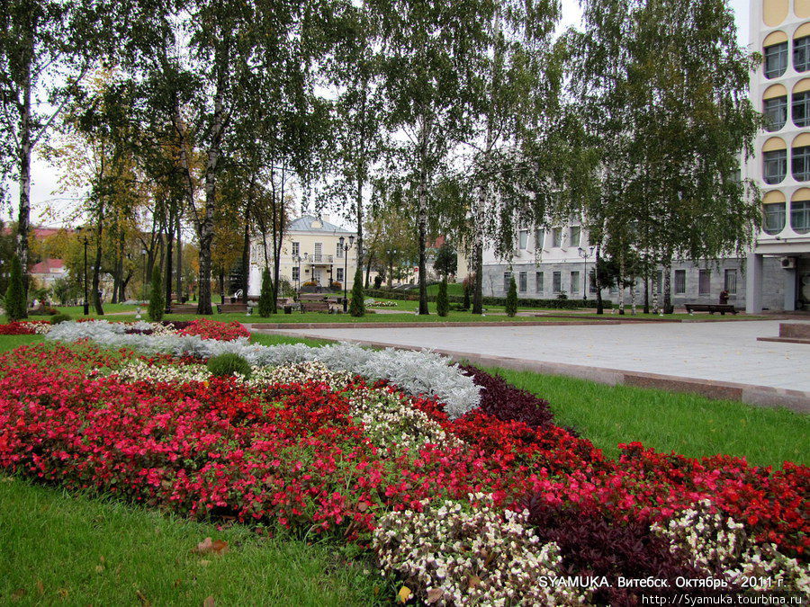 Осень... Поздние цветы. Витебск, Беларусь