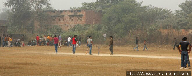 Крикет – полный стадион.  На матче. Штат Уттар-Прадеш, Индия