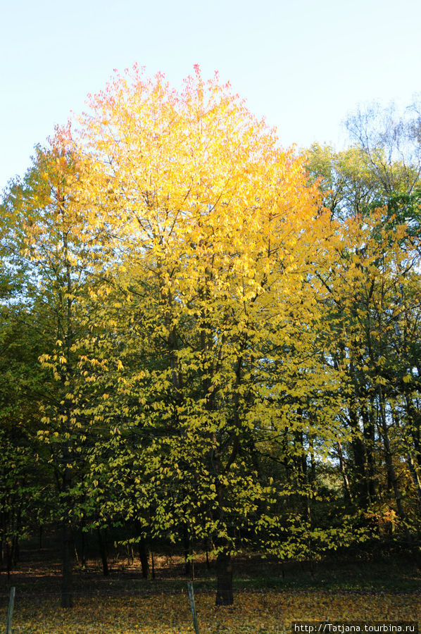 Золотая осень  Брюнссума Брюнссум, Нидерланды