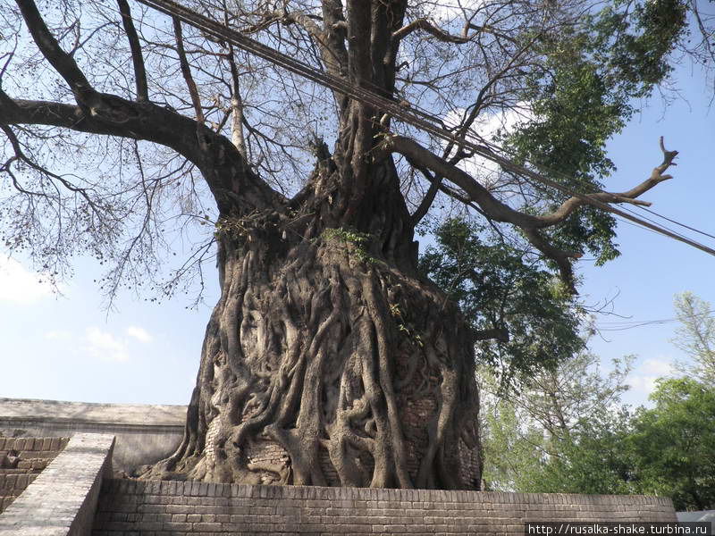 Деревушка Батулечаур Покхара, Непал