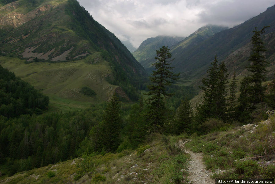 Слева гора Тулаштайга и Березовый Пал. Внизу река Казнахта. Алтайский край, Россия