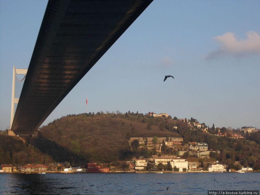 Пролив Босфор и виды Стамбула с парохода Стамбул, Турция