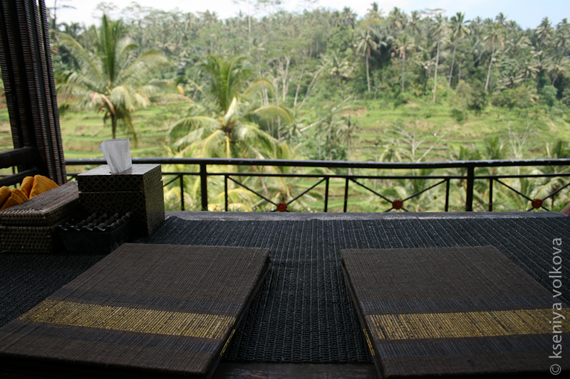 Рисовые террасы Тегалонг Бали, Индонезия