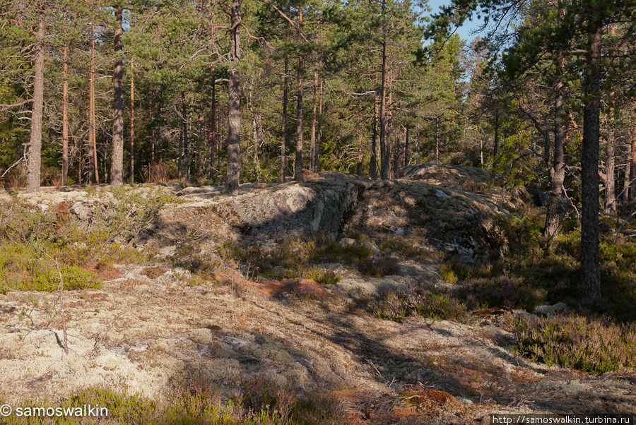 Природа Швеции Швеция